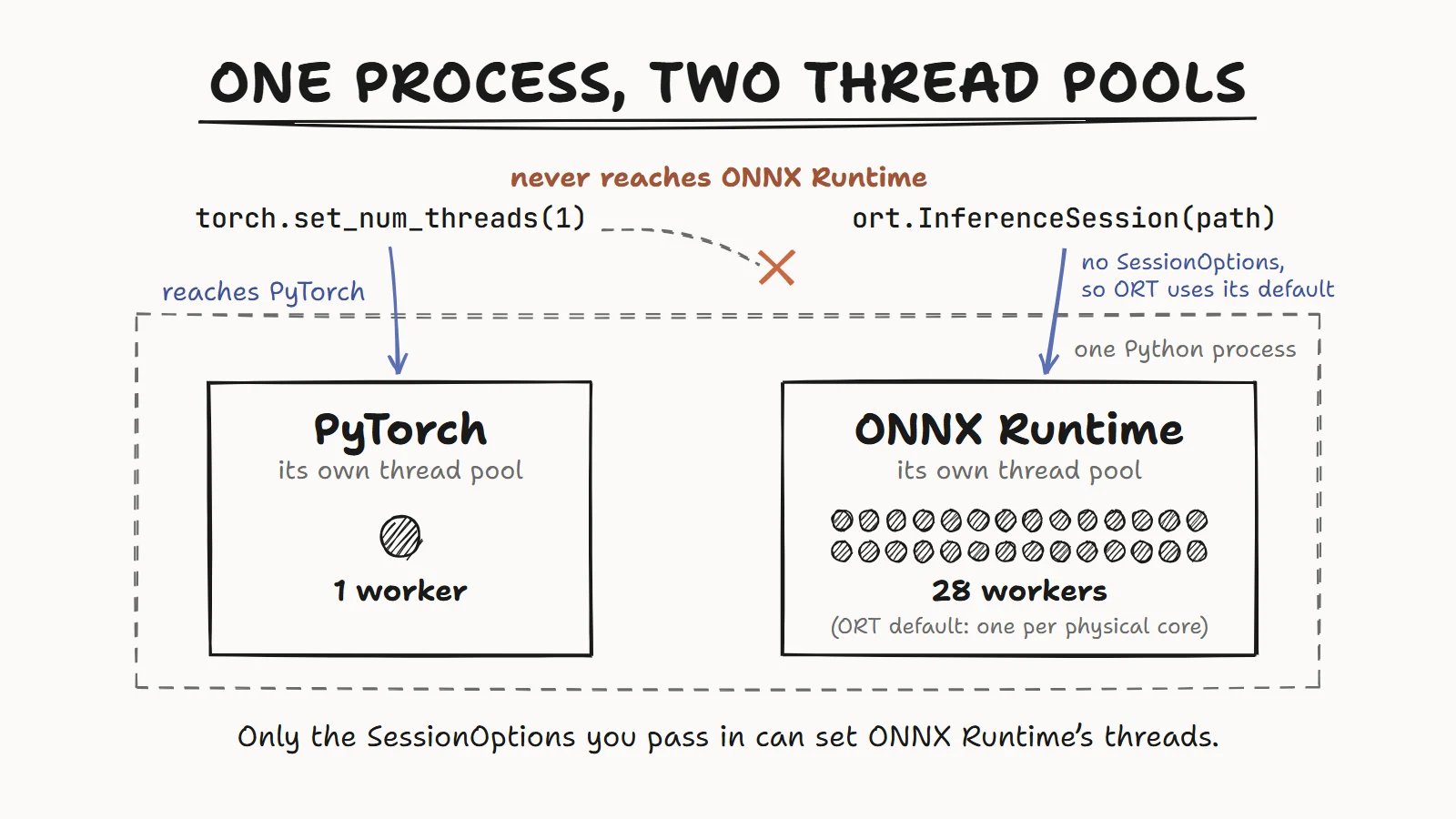 One process, two thread pools: torch.set_num_threads(1) reaches PyTorch's pool but never ONNX Runtime's, which defaults to one worker per physical core